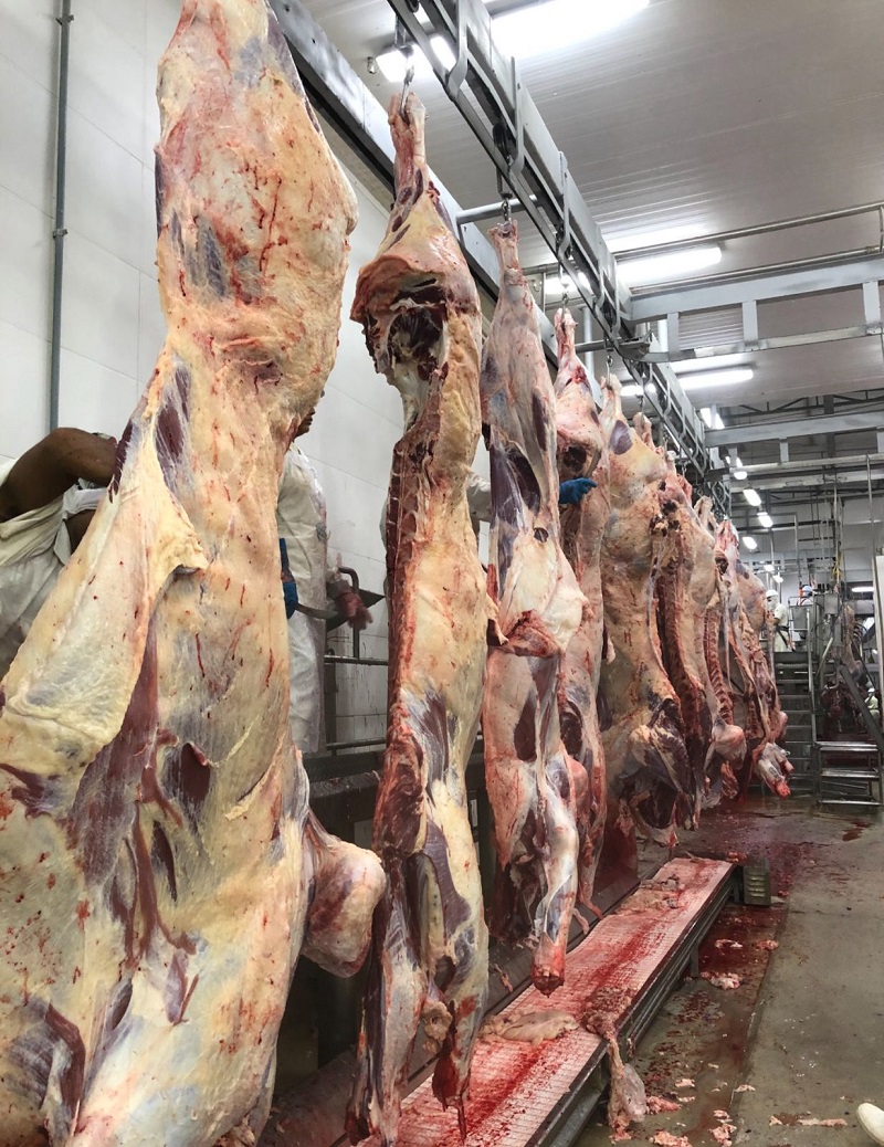 COMÉRCIO EXTERIOR: Exportações de carnes de MT crescem 43,12% e ultrapassam US$ 3,8 bilhões em 2025