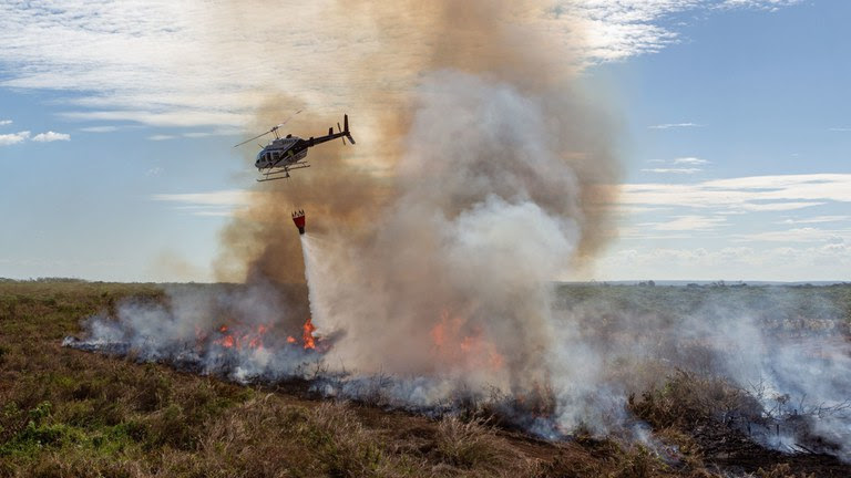 AGU bloqueia R$ 40 milhões em bens de infratores ambientais em Mato Grosso