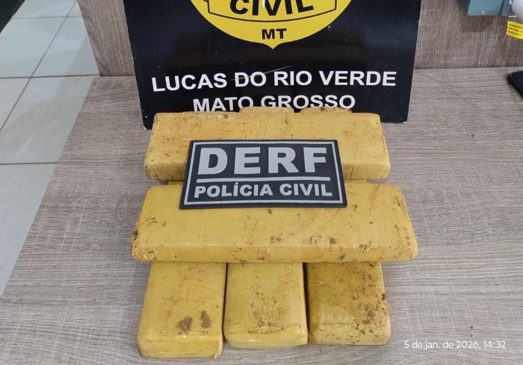 Polícia Civil apreende tabletes de maconha enterrados debaixo de pé de manga após denúncia anónima