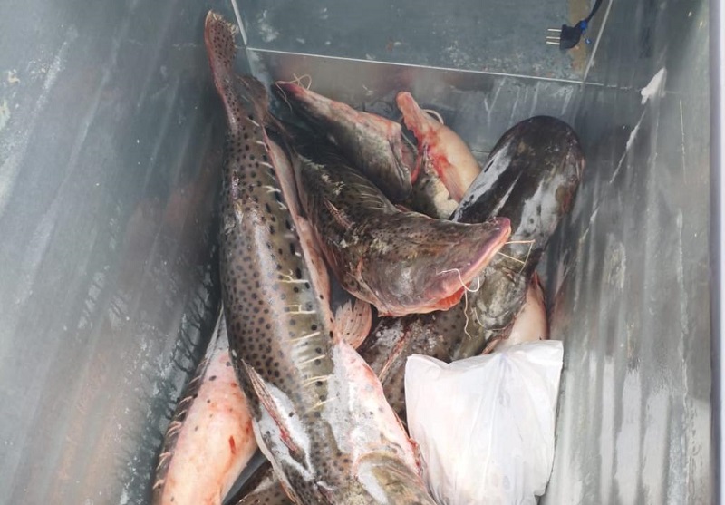 Polícia Civil combate pesca predatória e grupo criminoso em Cuiabá e Várzea Grande