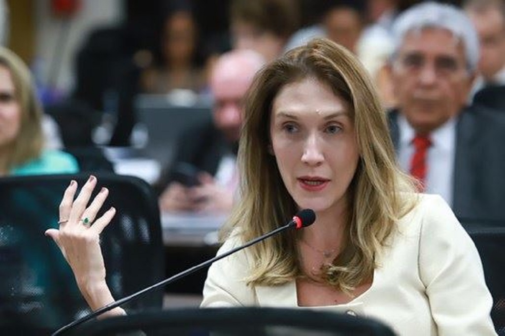 ELEIÇÕES 2026 : Conselheira federal da OAB-MT integra grupo para discutir provimento sobre participação de membros do Sistema OAB