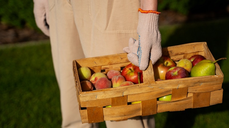 Projeto que criminaliza descarte de alimentos gera críticas de especialistas e levanta alerta jurídico