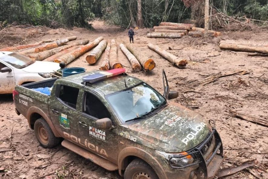 Mais de 174 m³ de madeira ilegal são apreendidos pelo Batalhão de policia Ambiental