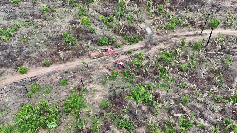 IMPASSE DE 16 ANOS: desmatamento ilegal avança e reacende conflito agrário em MT