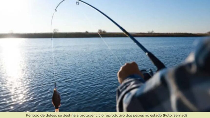 Período de defeso da Piracema será entre 1º de outubro de 2026 e 31 de janeiro de 2027 em MT