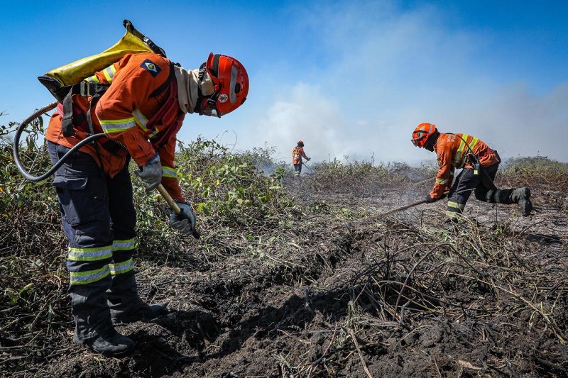 Governo de Mato Grosso publica decreto que estabelece período proibitivo de uso do fogo
