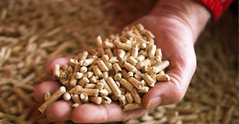 Em busca de biomassa mais barata, usinas apelam para madeira de desmatamento em MT