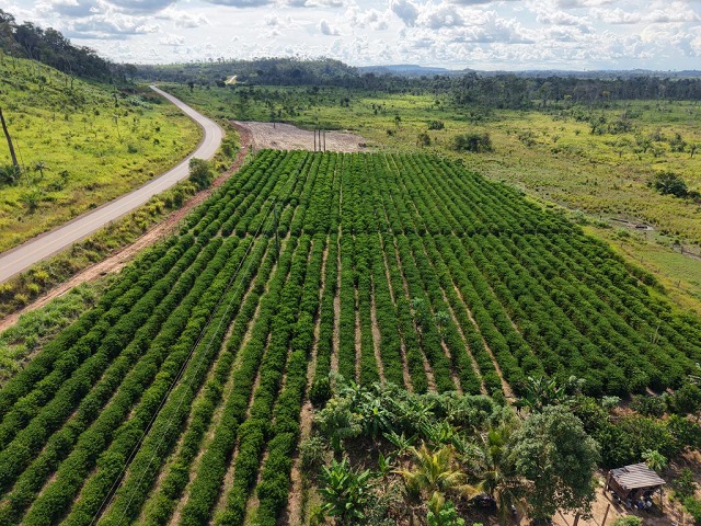 Seaf inicia mobilização do MT Produtivo em 61 municípios de Mato Grosso