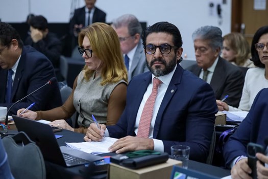 Conselho Pleno aprova ingresso da OAB em ação sobre inelegibilidade no STF