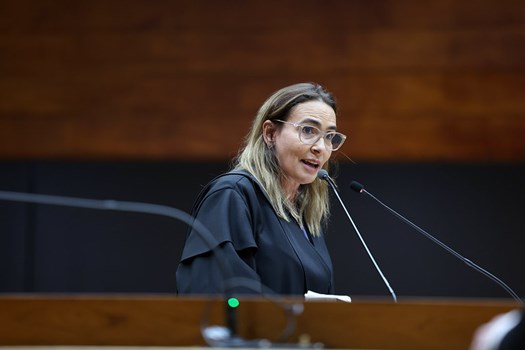 No STF, OAB Nacional defende aplicação ampla da Lei Maria da Penha em casos de violência de gênero