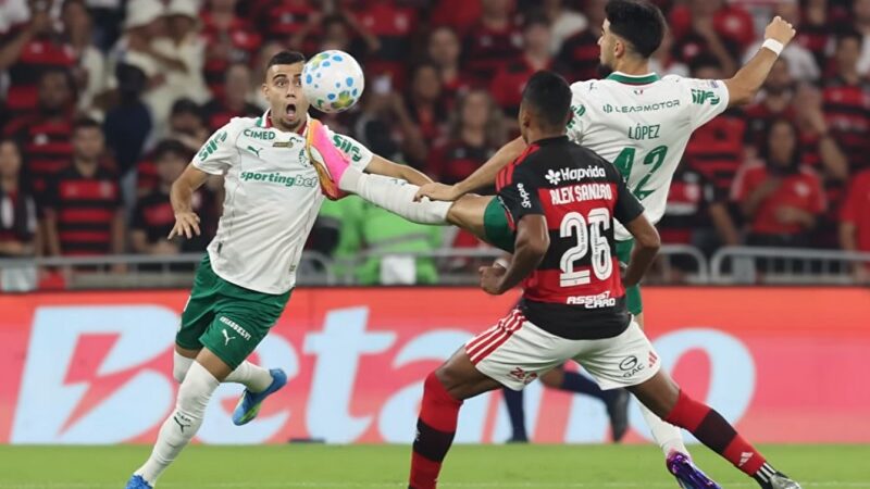 FLAMENGO 0 X 3 PALMEIRAS : com menos um em campo, Flamengo sofre no Maracanã