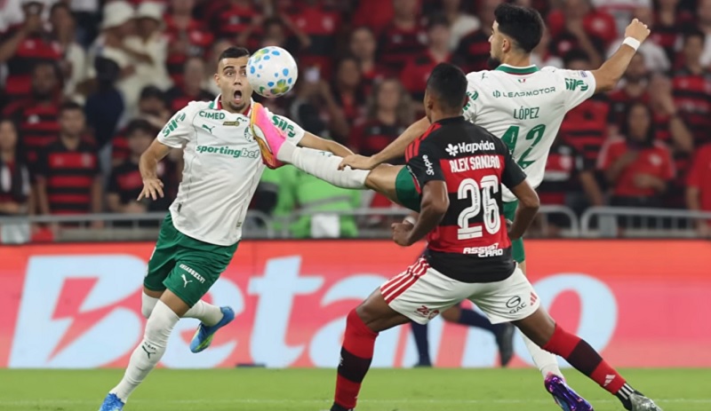 FLAMENGO 0 X 3 PALMEIRAS : com menos um em campo, Flamengo sofre no Maracanã