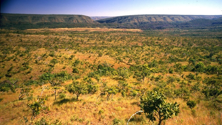AGU obtém decisão favorável ao Ibama em disputa sobre Reserva Legal