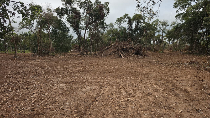 Batalhão Ambiental aplica multa em mais de R$ 129 mil por desmatamento irregular