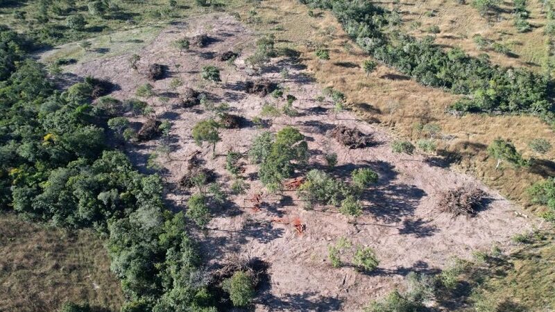 Batalhão Ambiental da PM embarga área após denúncia de desmatamento irregular