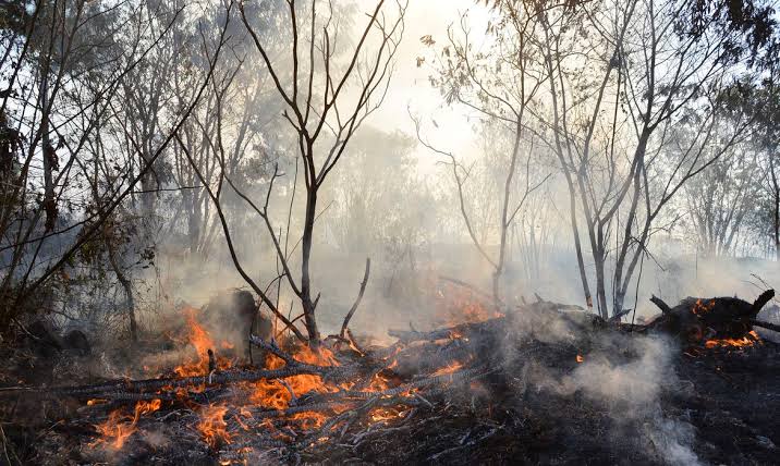MÉDIA HISTÓRICA: MapBiomas aponta redução de 61% da área afetada por incêndios florestais em Mato Grosso