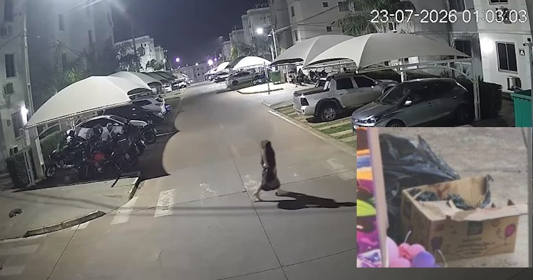 INVESTIGAÇÃO – Polícia Civil identifica mãe de recém-nascida encontrada em lixeira em Várzea Grande