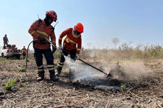 Bombeiros prendem homem em flagrante por  incêndio em vegetação