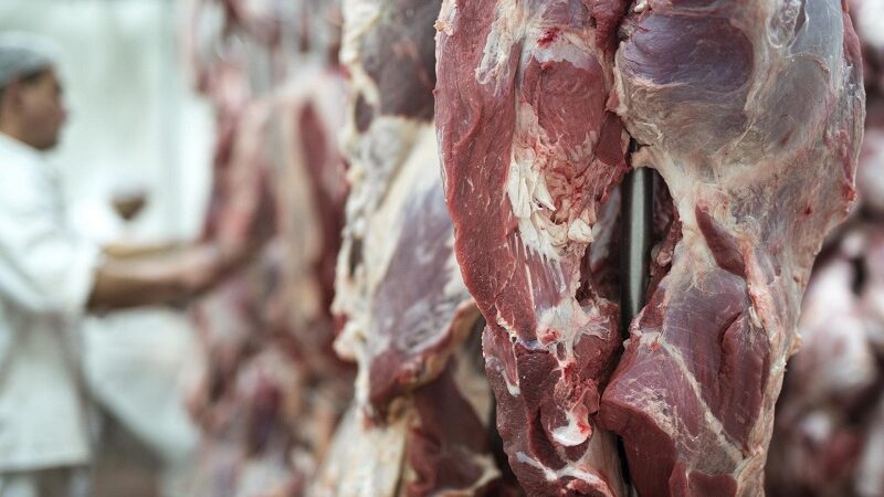 Carne bovina produzida em Mato Grosso chega a 88 países em 2026