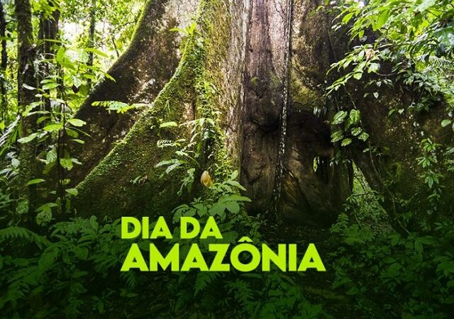 IAB destaca proteção da Amazônia como compromisso com as presentes e futuras gerações
