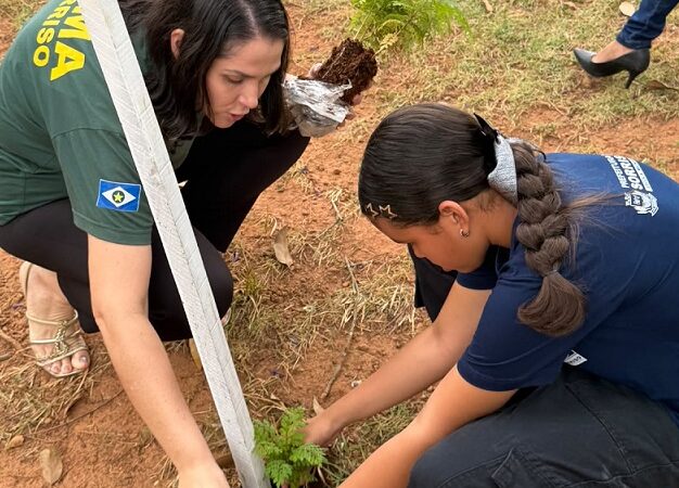 Estudantes de Sorriso plantam árvores após vencerem concurso sobre agricultura regenerativa
