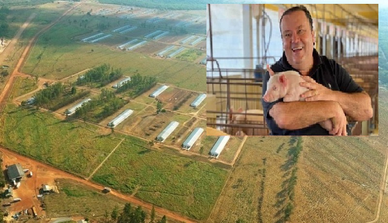 Prefeitura de Campo Novo do Parecis acionou” à Justiça para reaver área cedida ao Rei do Porco”