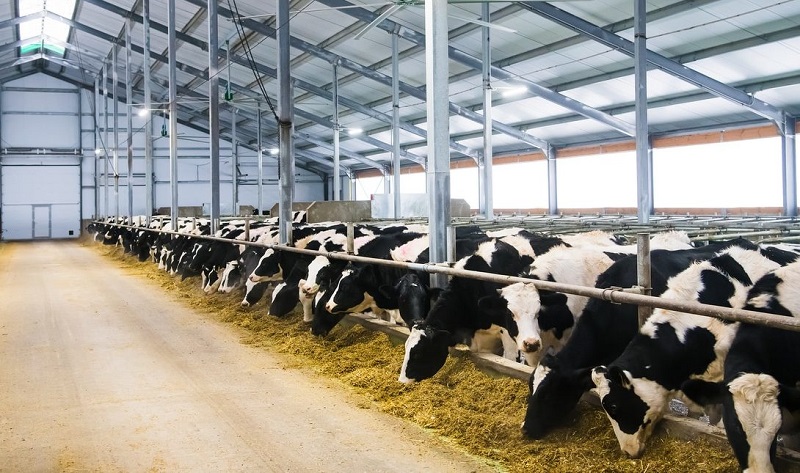 Chamada pública seleciona organizações produtivas da agricultura familiar de 61 municípios de MT