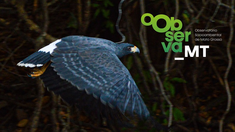 Observa-MT retoma campanha #ObservaSeuVoto e lança balanço da agenda socioambiental de Mato Grosso
