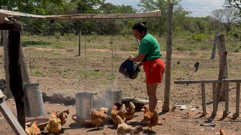 Investimento de R$ 1 bilhão impulsiona a agricultura familiar em Mato Grosso
