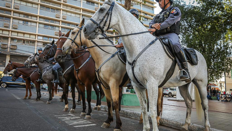 Cavalaria da PM prende idoso foragido da Justiça por estupro em Cuiabá